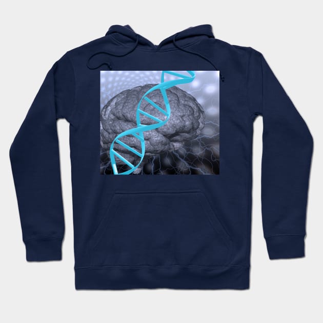 DNA strand and brain Hoodie by rolffimages